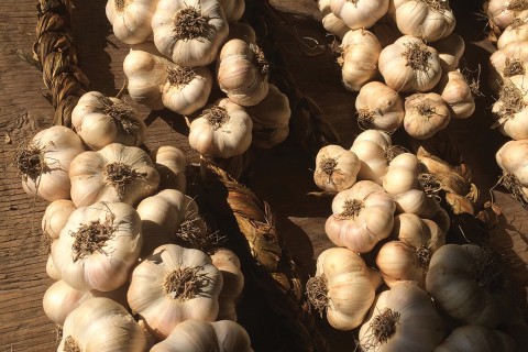 garlic braids